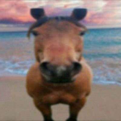 CarlosEdua26781's profile picture. 