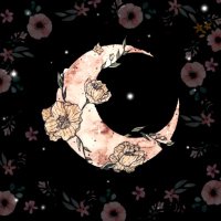 MoonBoy Media (@moonboy_media) 's Twitter Profile
