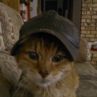 fleurentcue (@fleurentcue) 's Twitter Profile