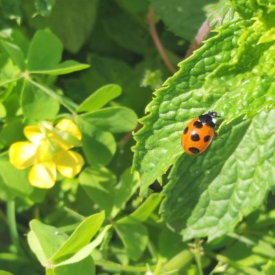 mayuka478813's profile picture. 