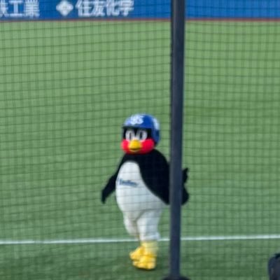 @hiyu6yakuswa