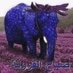 name (@dawnultraclean) Twitter profile photo name (@dawnultraclean) Twitter profile photo