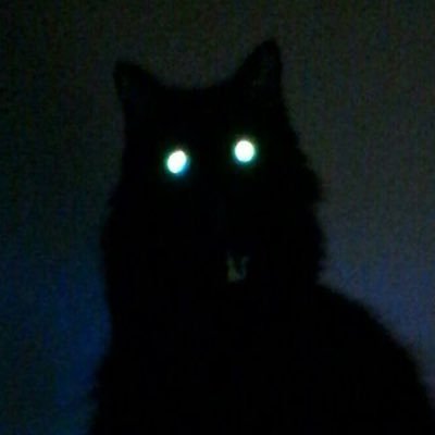 _kylaend_'s profile picture. i don’t use twitter