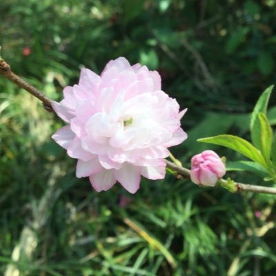 水神さんのプロフィール画像