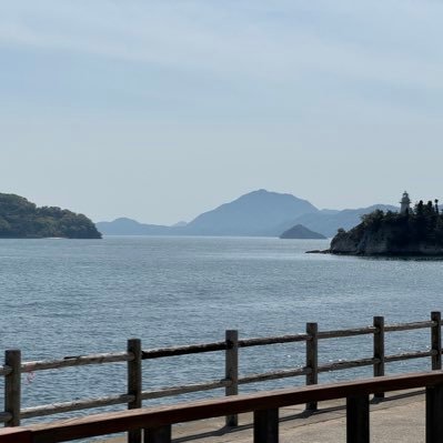 postdoc at WPI-SKCM2, Hiroshima University / supramolecular chemistry / organic chemistry / molecular crystal