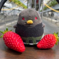 バンブー(初回ツイフィ必読!G.Wに伴い発送最終日:5/1) (@sekiseitori3) 's Twitter Profile Photo バンブー(初回ツイフィ必読!G.Wに伴い発送最終日:5/1) (@sekiseitori3) 's Twitter Profile Photo