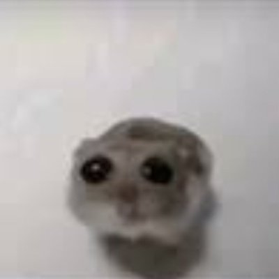 Close moots only
Not very active on this acc
runned by : @HollowMarmu03
