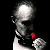 🌹M (@mbs6f) 's Twitter Profile