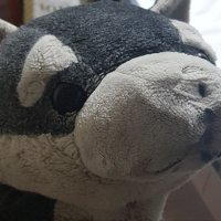 AM (@amamam_ame) 's Twitter Profile Photo AM (@amamam_ame) 's Twitter Profile Photo