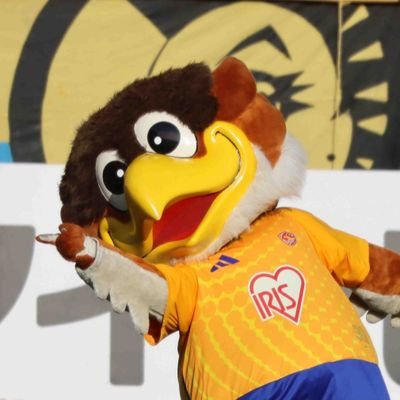 #ベガルタ仙台。vegalta sendai! ! ! Go!!!Let's go!sendai
～俺達と共に～ Ready go！！！！！！

https://t.co/chgCwNiSrb