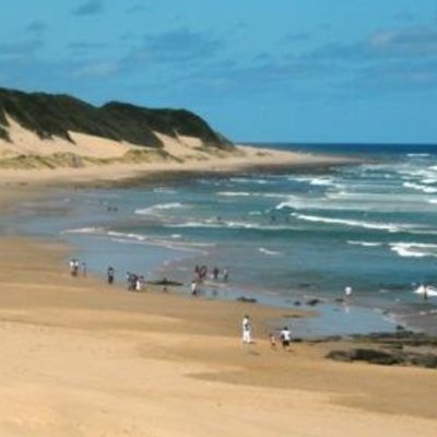 Moonshine3004's profile picture. Giving back to the community since the start of the digital age.