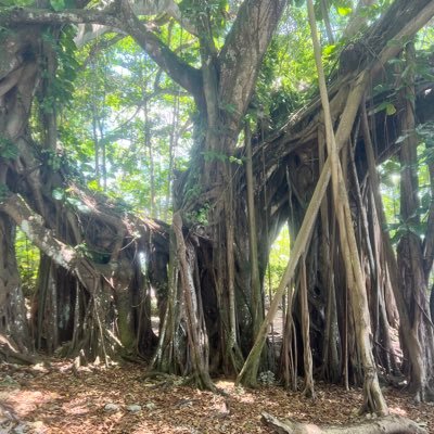 GawayneKing's profile picture. Love to 👅👅👅pum pum