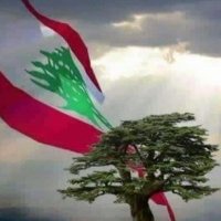 Mahmoud Kaddour(@MahmoudKad36040) 's Twitter Profile Photo