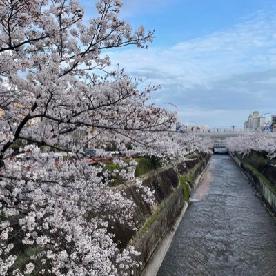 家にこもるのが苦手で、すぐに出かけちゃいます😄行動範囲は梅田〜三ノ宮です✨ 美味しいものの食べ歩きもしてます♪