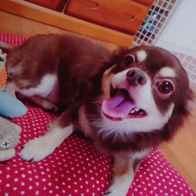 m_pmama's profile picture. 見るだけです😁