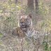 neyodaCAT (@sneha_abraham) Twitter profile photo neyodaCAT (@sneha_abraham) Twitter profile photo