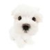 haudog (@mirage_uu) Twitter profile photo haudog (@mirage_uu) Twitter profile photo