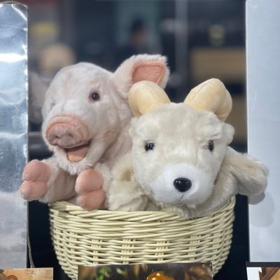 t273k652's profile picture. 🐖🐐/🏃‍♂️🐟/🐶🤖/🏰🌊/📷💥