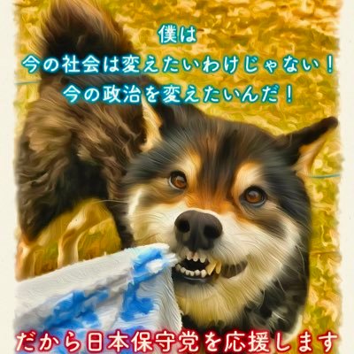 少子化・過疎化・陸の孤島 自慢の故郷・・ これからは田園広がる緑豊かな田舎もいいよ！ 日本保守党を応援してます。 #あさ8 #日本保守党