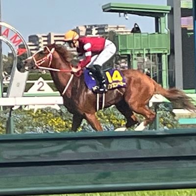 競馬用のアカウントとして作りました！ ウマ娘から入った勢です。 推し馬はジャングロとフェイトとフォーエバーヤング です。血統について勉強中。ツイートする気分としない気分は波があります。