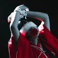 是白胖胖啊 (@shibaipangpanga) Twitter profile photo