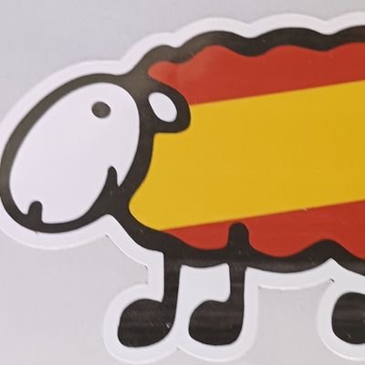 Guipúzcoa Española Siempre 🇪🇦