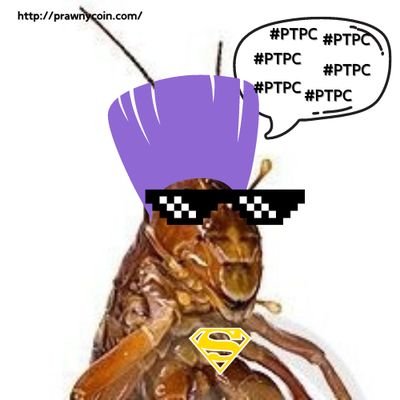 Don't let the ParkTownPrawn catch you by surprise! #PrawnyCoin #PTPC 🌳🦐
EkaBazZkHzBc4WzJDTNVVT7vDuqu11dSYNxjDf2GaiFH --Sol