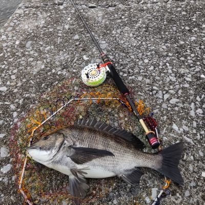 27Kawamoto's profile picture. 関東関西でへち歩き、最近九州に引っ越して第２のいろんなスタート切ってます。へち道具研究と新天地での普及をコツコツやってます