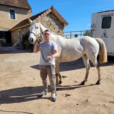Racehorses breeder associate AQPS Broodmares ♀️ ➡️ 🐎 Bouée en Mer (Irish Wells) 🐎 Impertinente (Crillon) 🐎 Diablesse Royale (Saint des Saints)