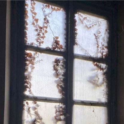 Robimente's profile picture. Milanista nell'anima.Ayrton nel cuore.Adoro F.Inzaghi.Jane Austen addict.k-drama.Y.Ishikawa.🎼BlackRose🥀.Atiny.Libero i miei pensieri, anche se non sempre.