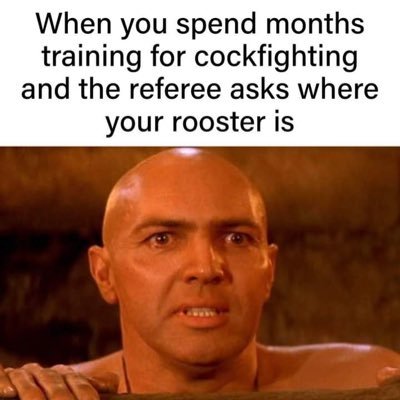 a_vigstrand's profile picture. :)