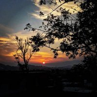 Saad Ali Shah (@saad_ali_shah) 's Twitter Profile
