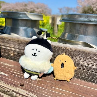 コロ（感謝） 圭太( ˙ᴥ˙ )自分ツッコミくま・ナガノのくまをこよなく愛する
