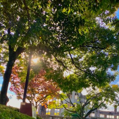 コスイベ中心にカメラしてます❗️初心者なので期待に答えれない可能性あります💦コスイベ、併せの撮影、ぜひ誘ってください❗️DMまで来てくれる嬉しい。あと写真投稿についてはタグ付けだけはお願いします。バンドもしてるんで音楽の話も良かったら❗️
