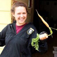 Rosii Floreak (@rfloreak) 's Twitter Profile