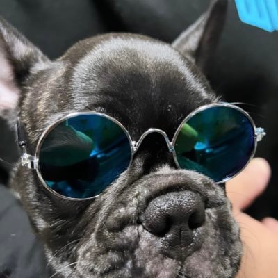 okkyun_1204's profile picture. 池田あおいらぶ♡ @_ikdaoi_