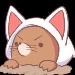 まだ未熟ですが、Twitchでゲーム雑談を生放送してます!
お気軽に遊びに来てください!
https://t.co/x99T6qI7qw
レトロ、インディーズゲーム大好き🎮
ゲーム制作者の知り合いがいるので、そのような方とも仲良くなりたい!
怪しくなければX、twitch共に相互フォロー100%