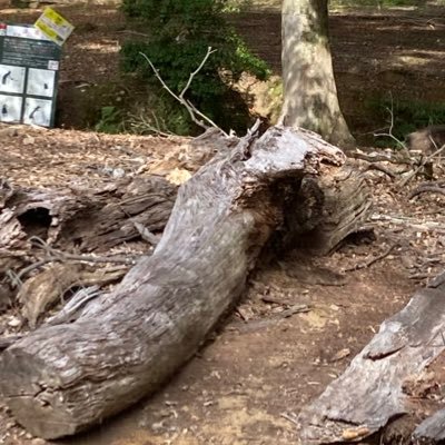 Riito_1945's profile picture. なんで私が国立に？(四谷学院)