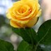Sekar (@sekarsantha) Twitter profile photo Sekar (@sekarsantha) Twitter profile photo