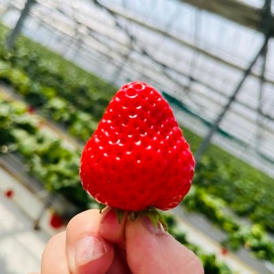 chata1387's profile picture. 