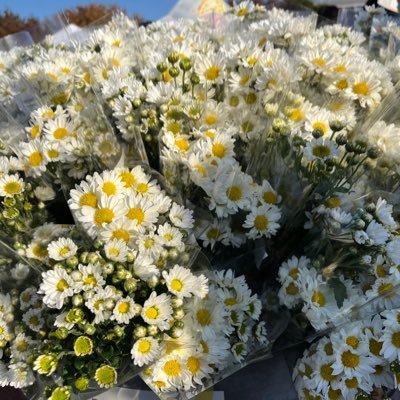 longhip_girl's profile picture. 👔