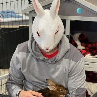 White rabbit 🐰 (@samchi3613) 's Twitter Profile