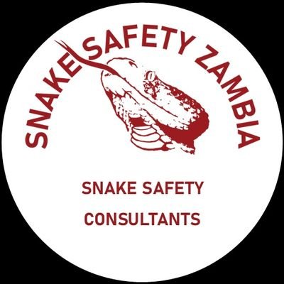 Snake Safety and snakebite management Consultants in Zambia! #snake #snakebite #africansnakebite