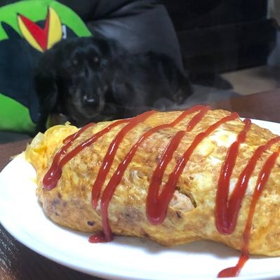 Oku_Kurobe's profile picture. アクロスエンタテインメント準預り所属の新人声優です。 動物と柄シャツが好きです。