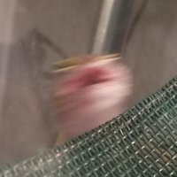 Ⓣⓗⓘⓢ Ⓖⓤⓨ (@mr__identity) 's Twitter Profile