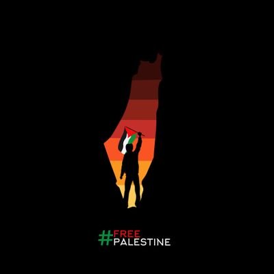 Free Palestine 🇵🇸