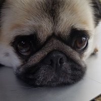 JUN (@a50352310a) 's Twitter Profile