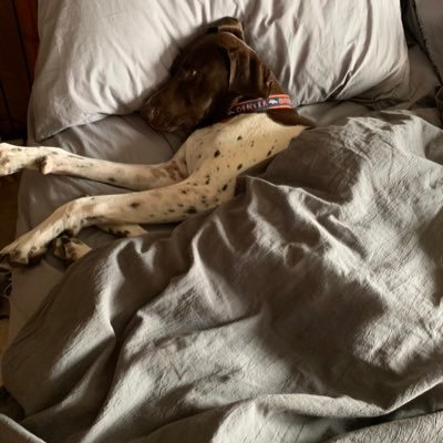 TuesdayRays's profile picture. 