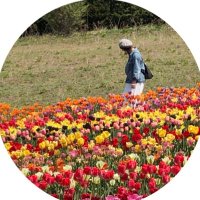 Kanariiy🌈 (@kanna_plain) 's Twitter Profile