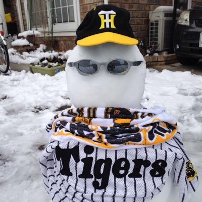 阪神垢🐯/阪神ファンの社会人(27)/サトテル、大山、ビーズリー/よろしくナス〜 ※試合中はツイートが荒れます/2025年1勝1敗0分/次回現地予定:未定
